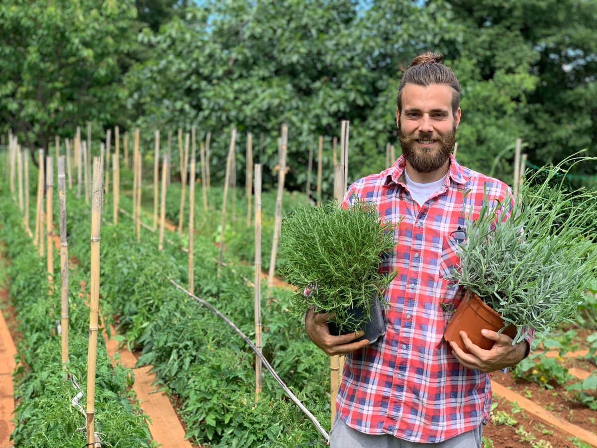 Tomato Whisperer u gostima: tajne uzgoja pomidora