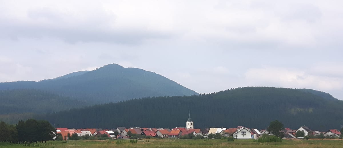Delnice